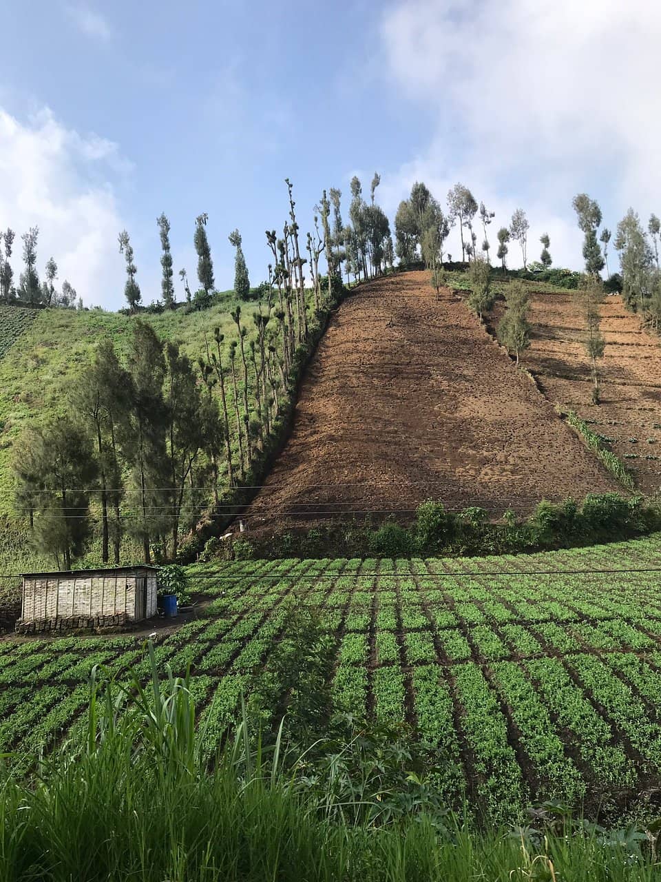 Mount Semeru Trailhead