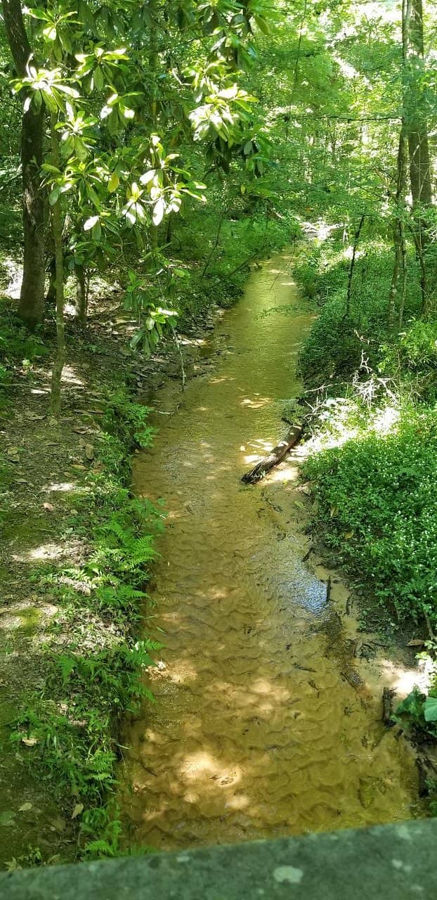 Butler Mill Trail
