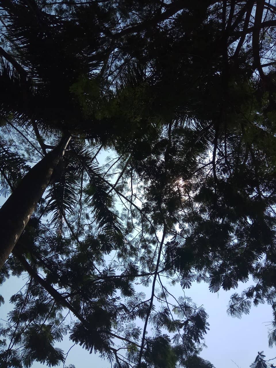 Vertical photo