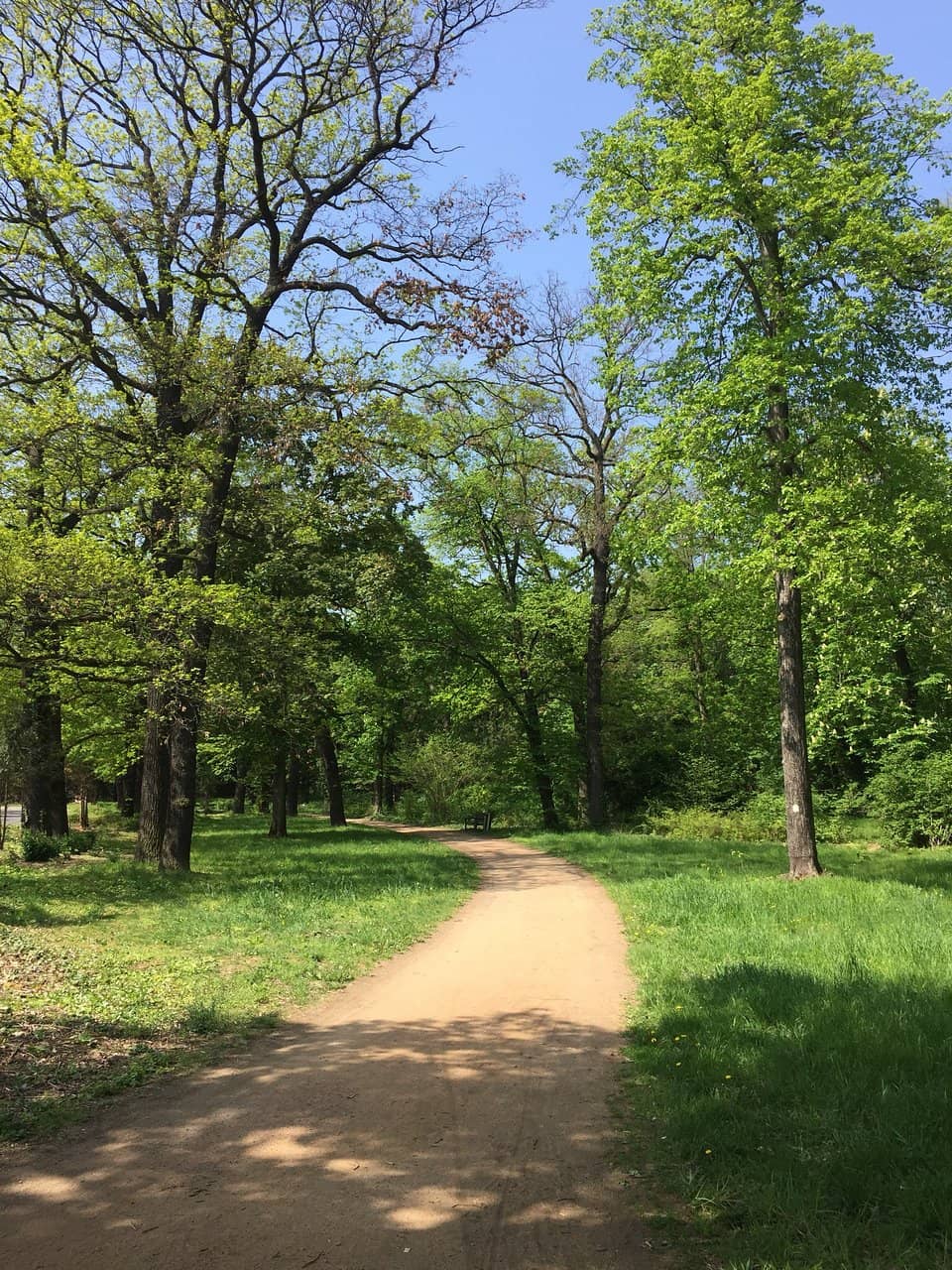 Outdoor Sculpture Exhibitions