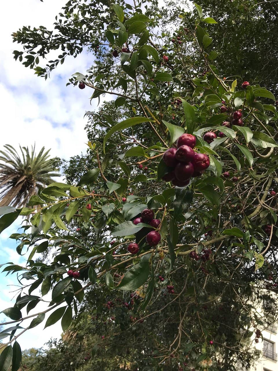 Waimahara Interactive Art