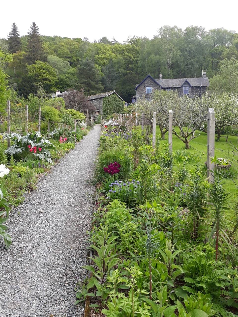 Temporary Art Exhibitions