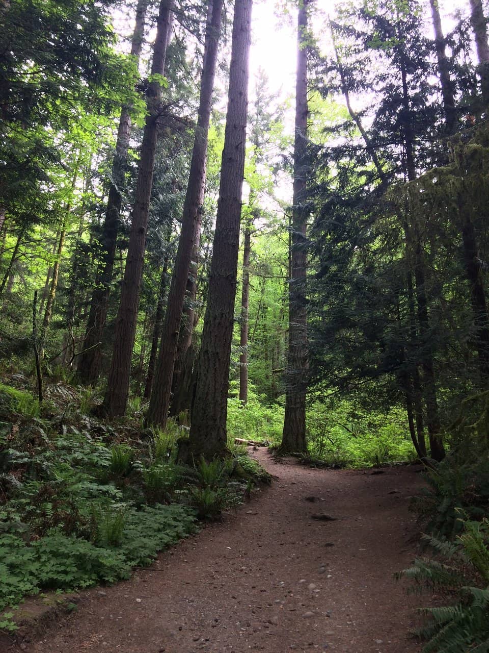 Estuary Restoration Area