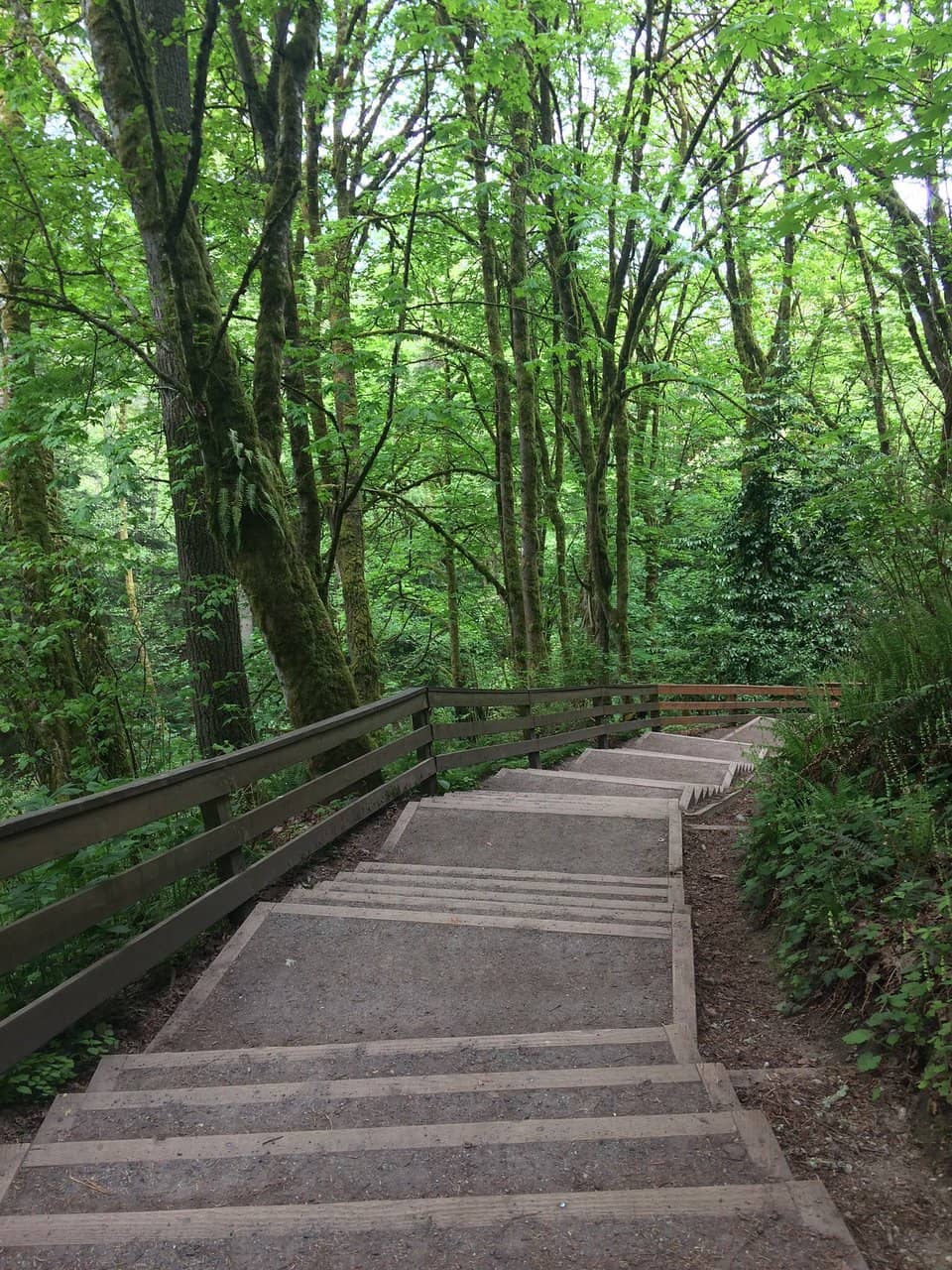 Puget Sound Beach Access