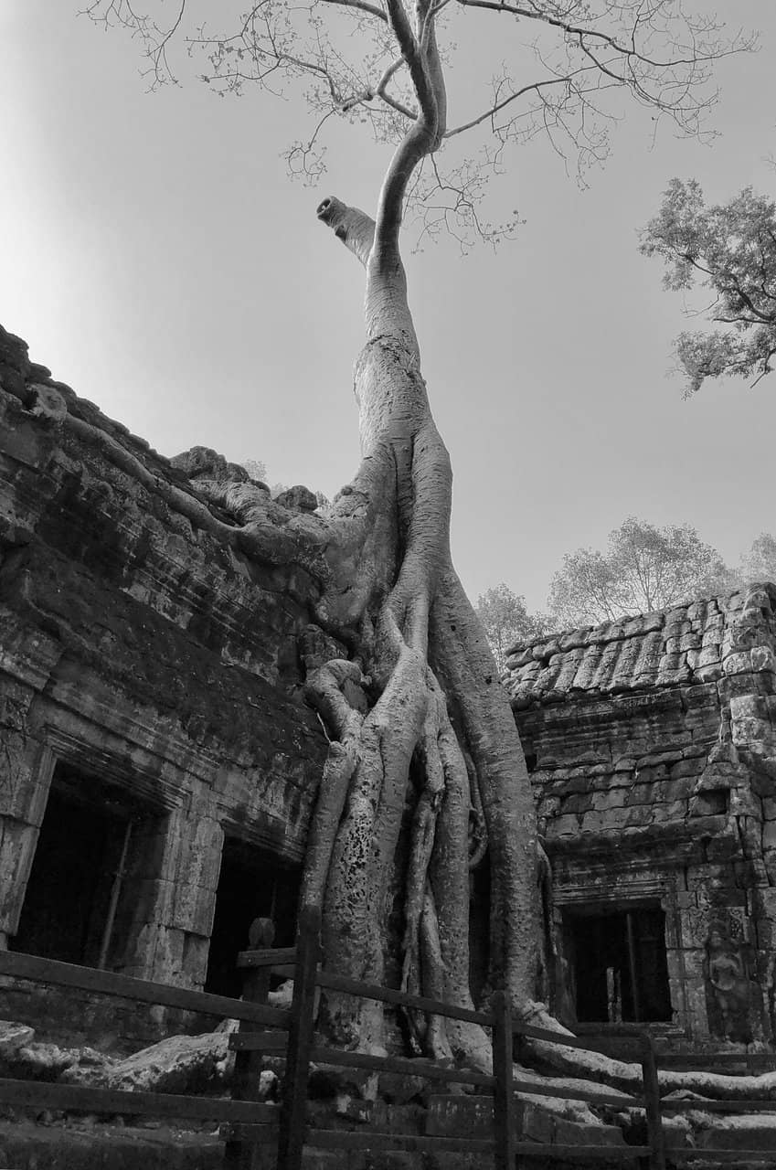Vertical photo