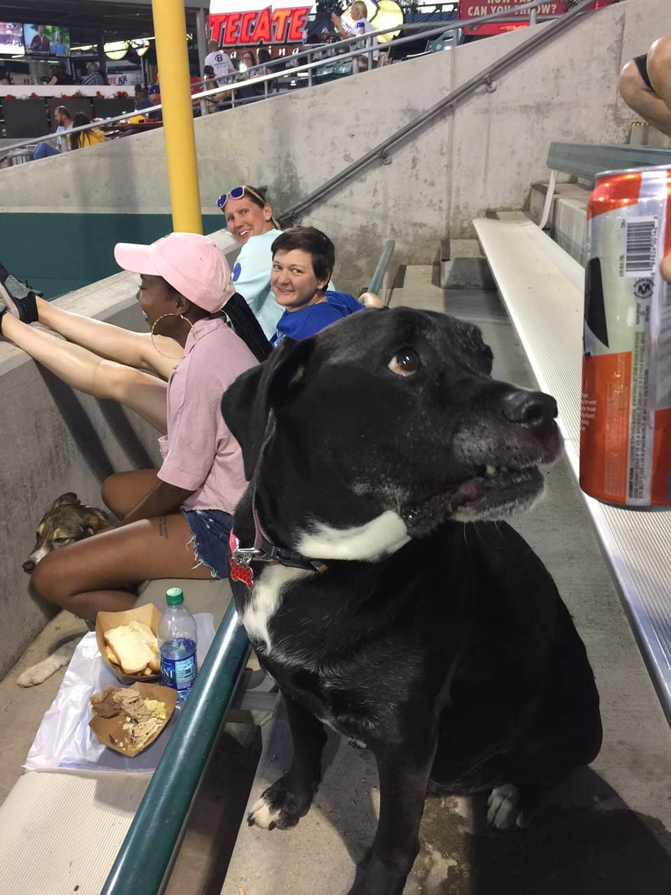 Taco Truck Throwdown