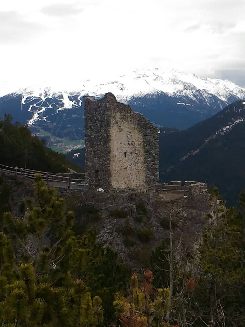 Vertical photo