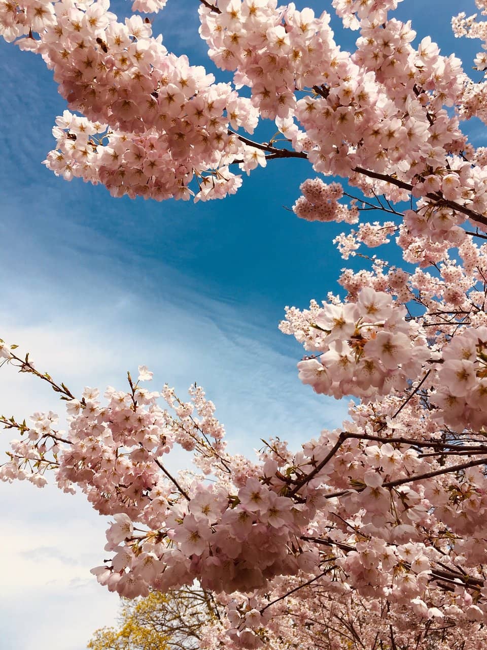 Recreation Centre Activities