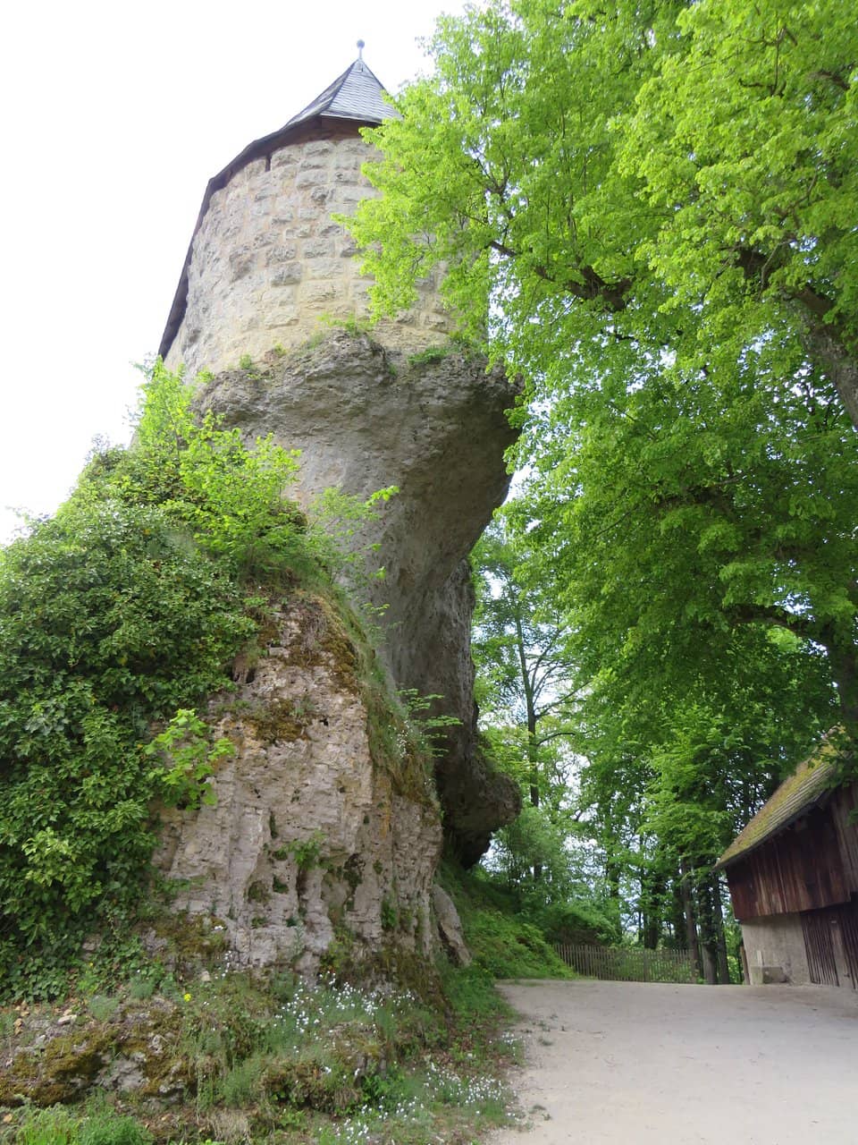 Vertical photo