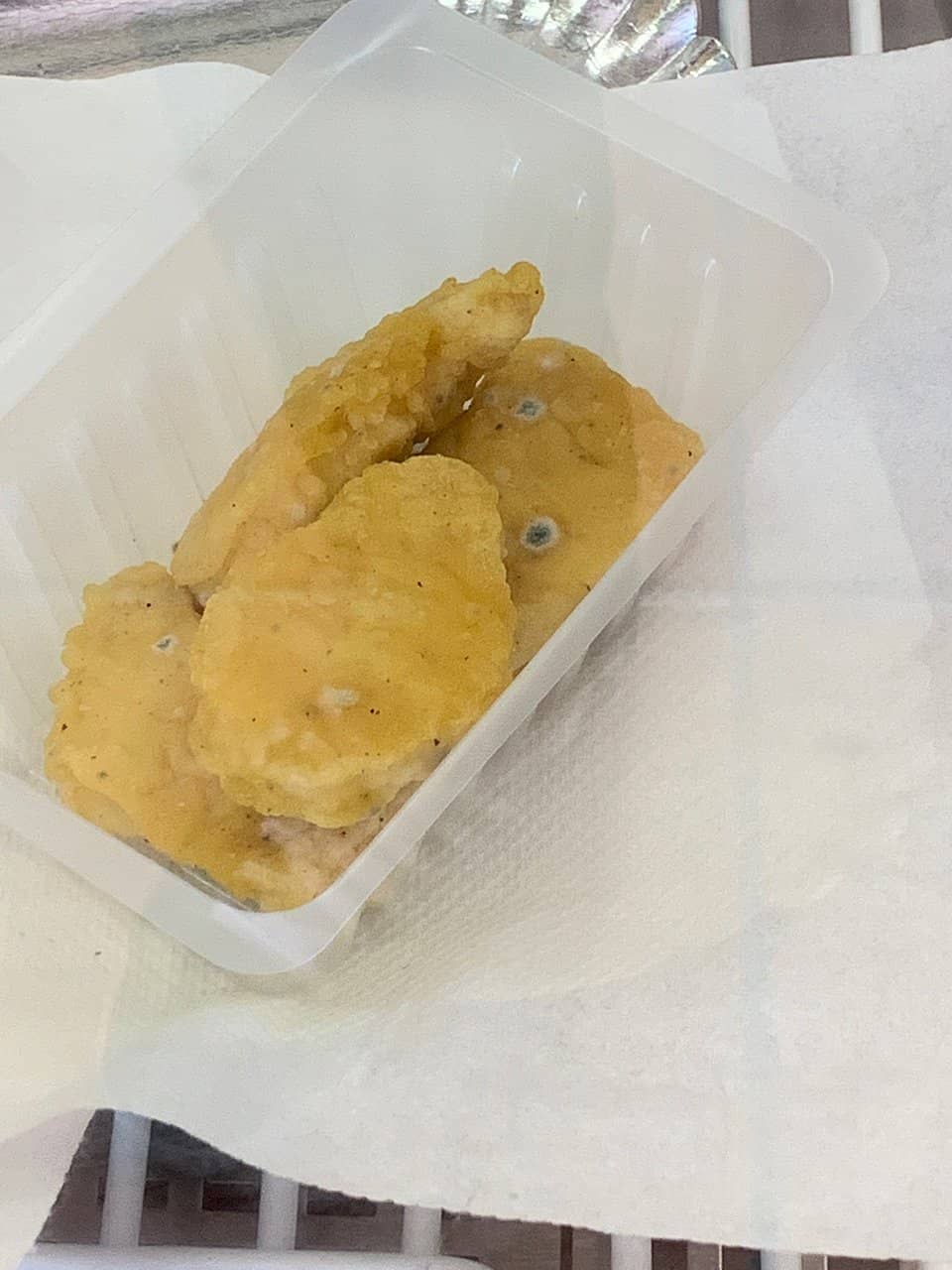 Animal Feeding Experiences