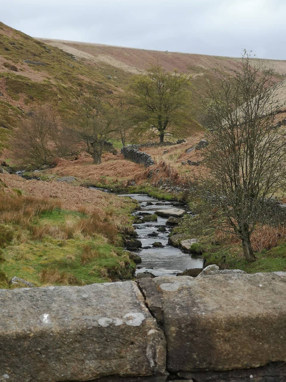 Malham Cove & Gordale Scar