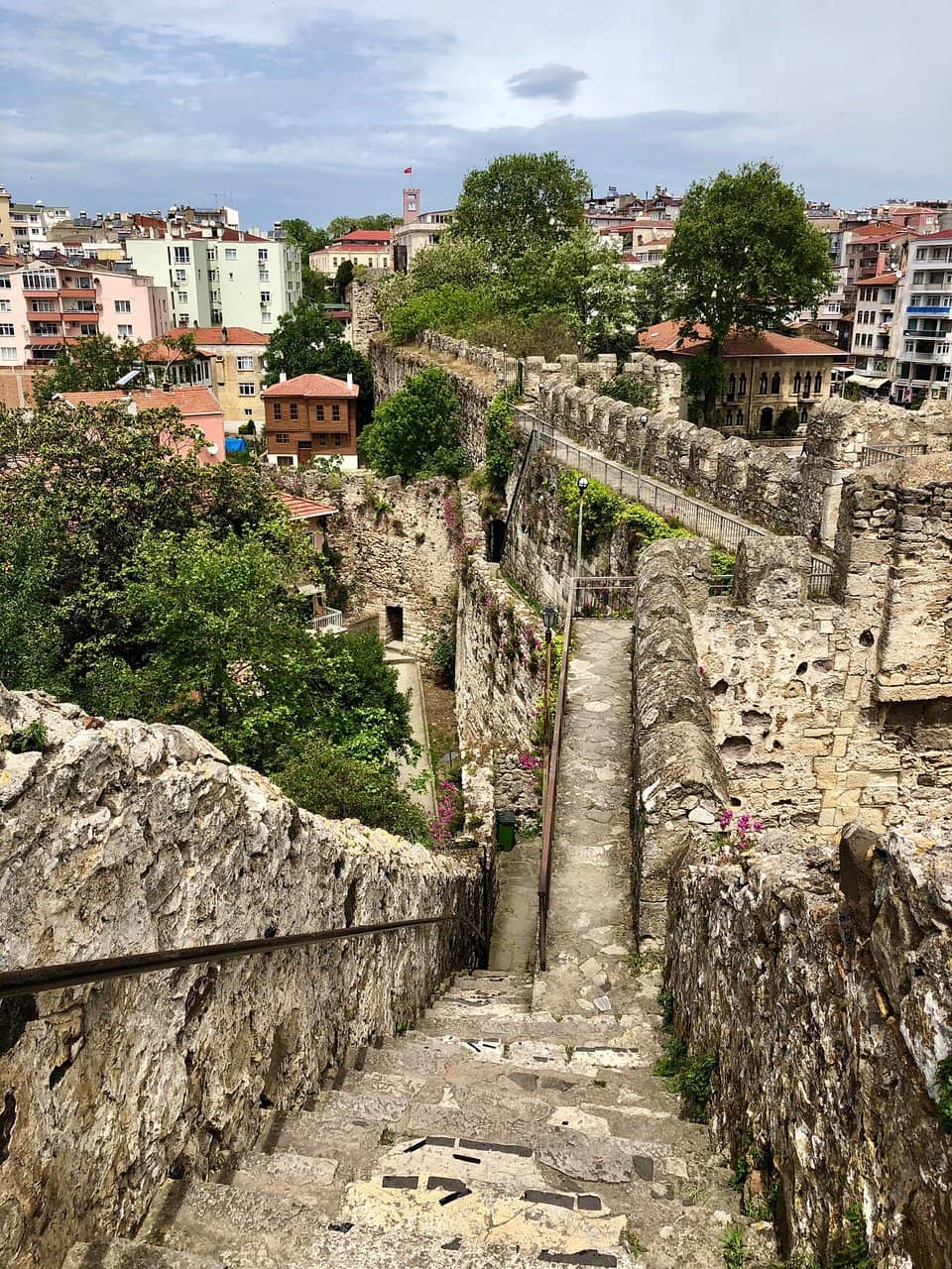 Vertical photo