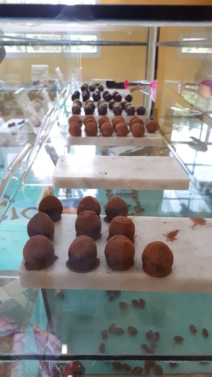 Sustainable Cocoa Farming