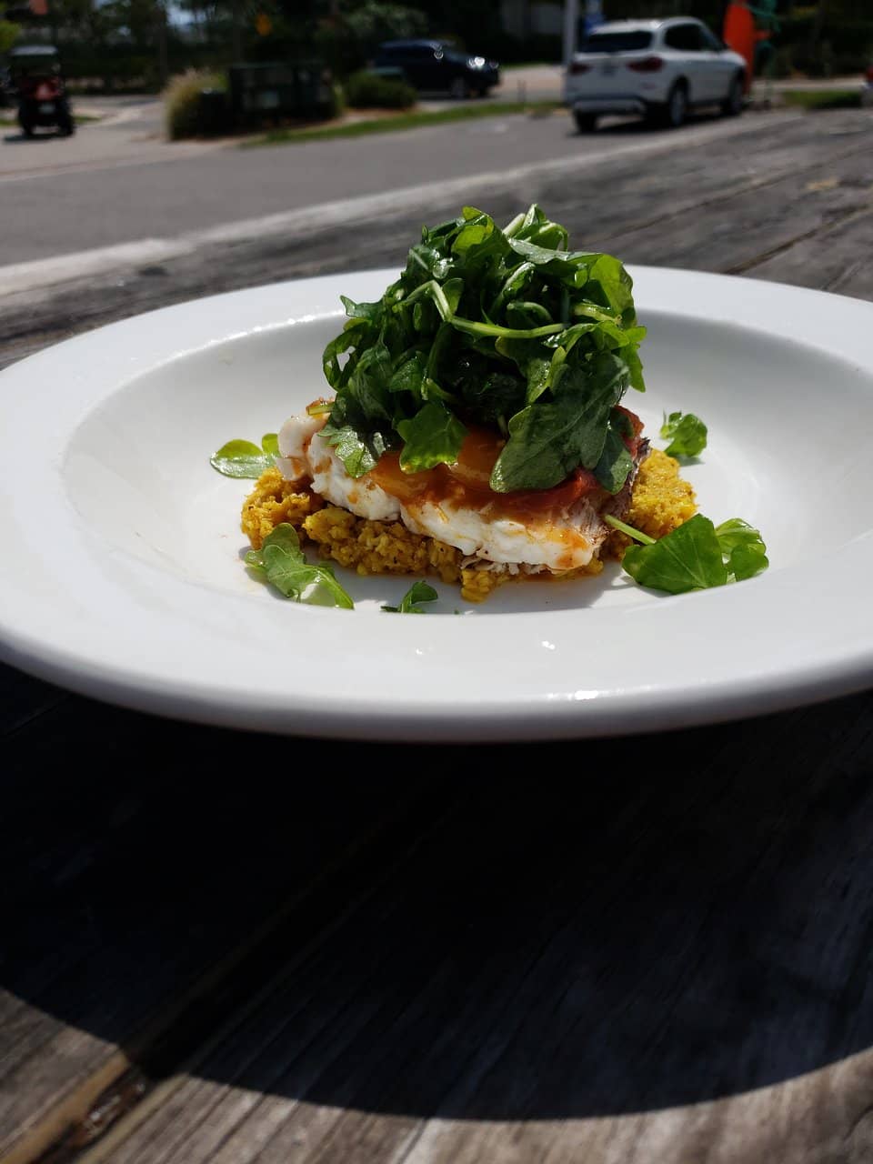 Caribbean Grouper