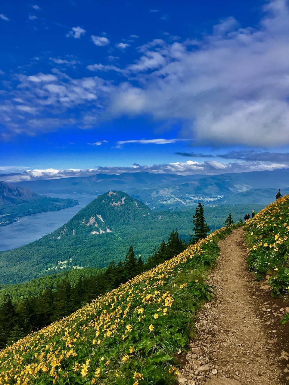 Panoramic Columbia River Gorge Views