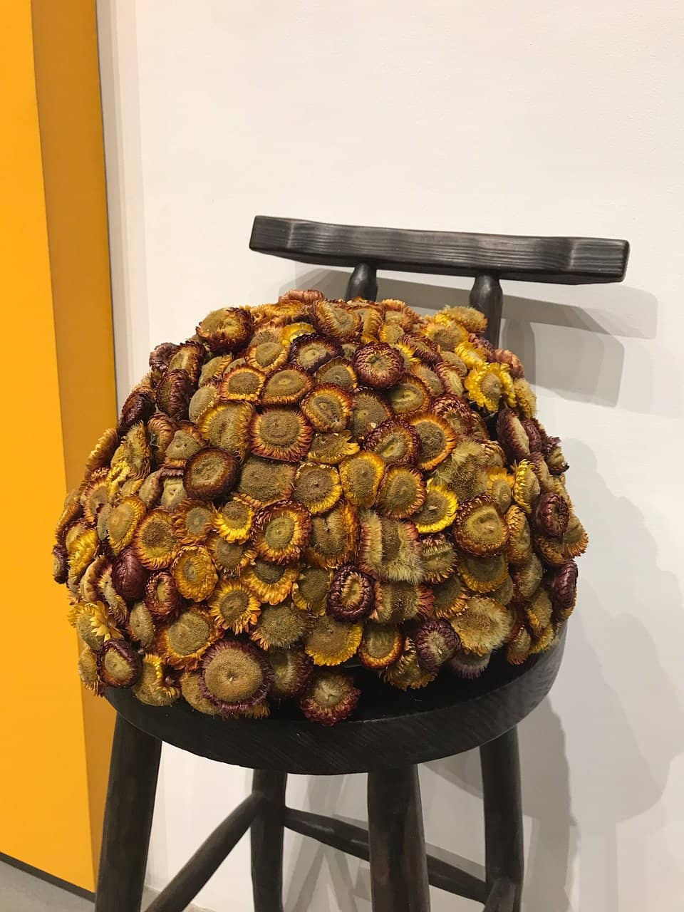 Indigenous Culture & History