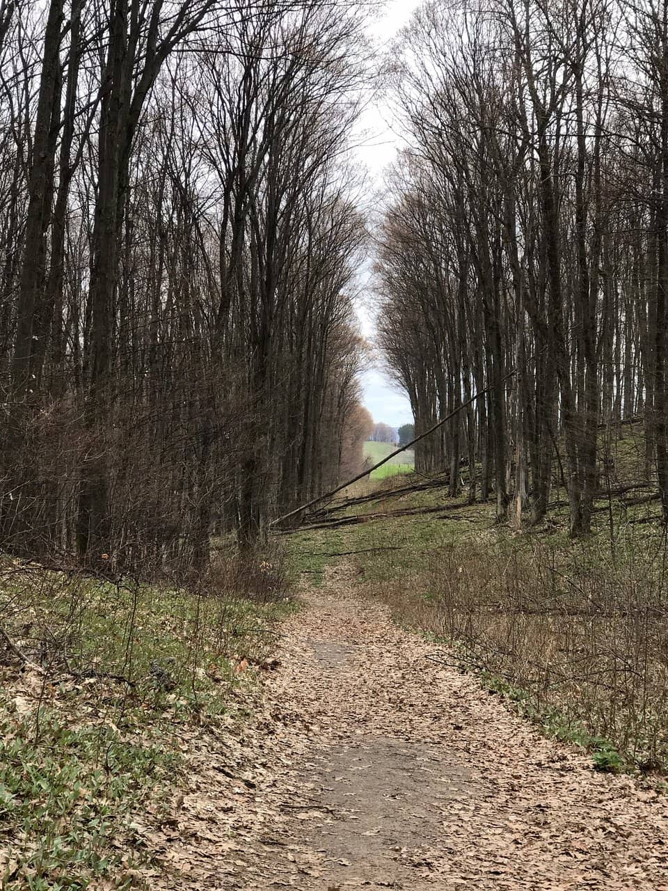 Vertical photo