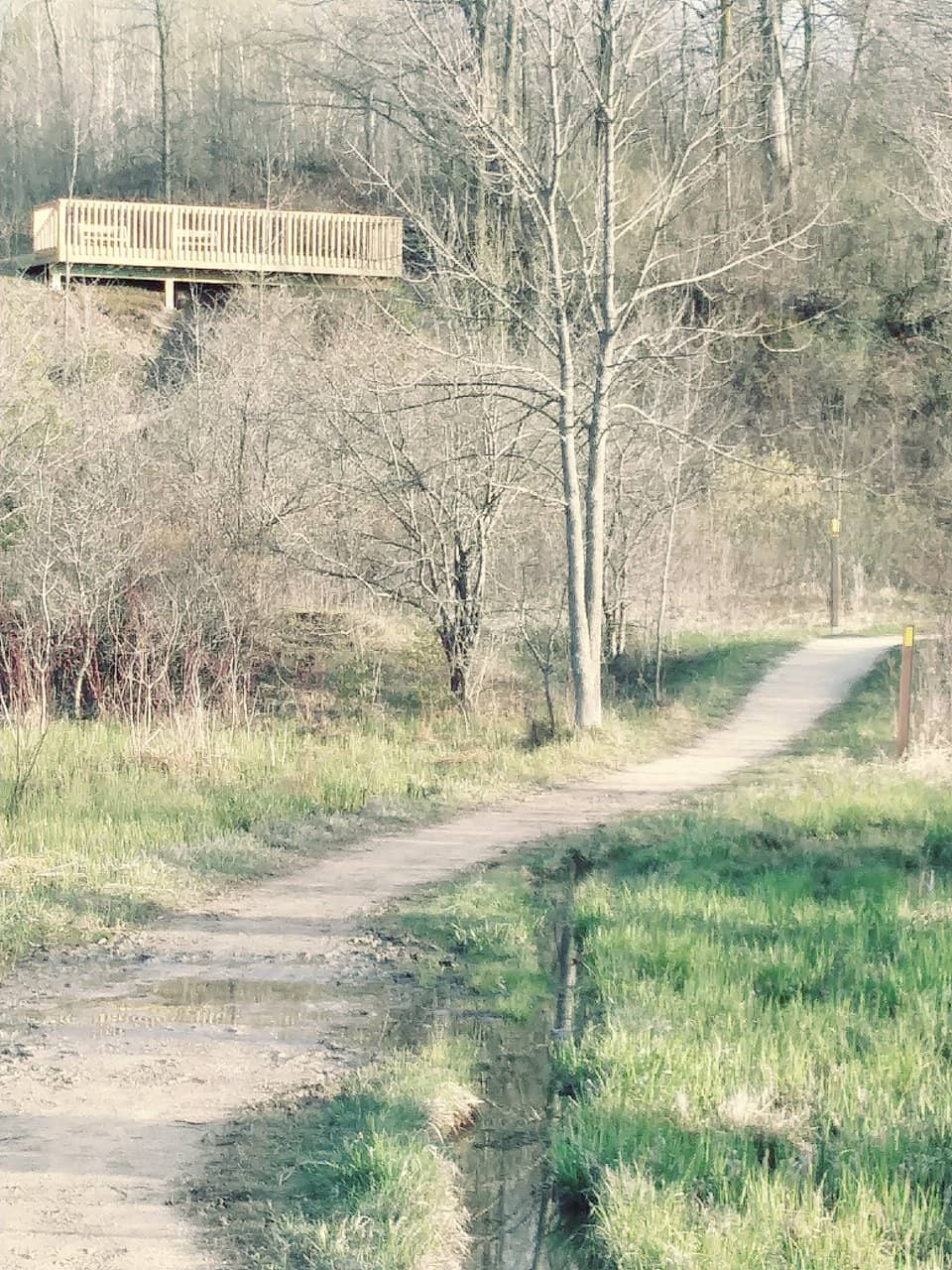 Scenic Nature Trails