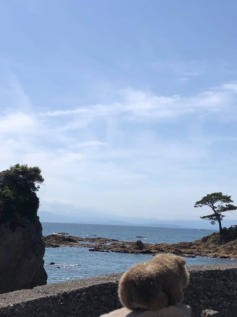 Vertical photo