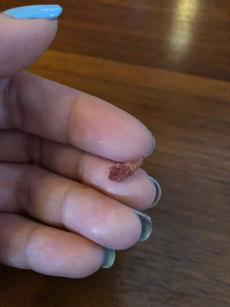 Charming Resident Cats