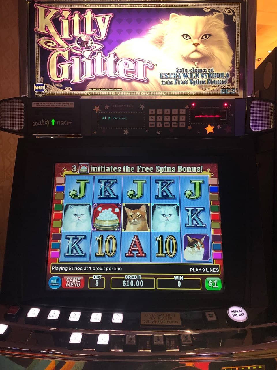 Live Entertainment & Events