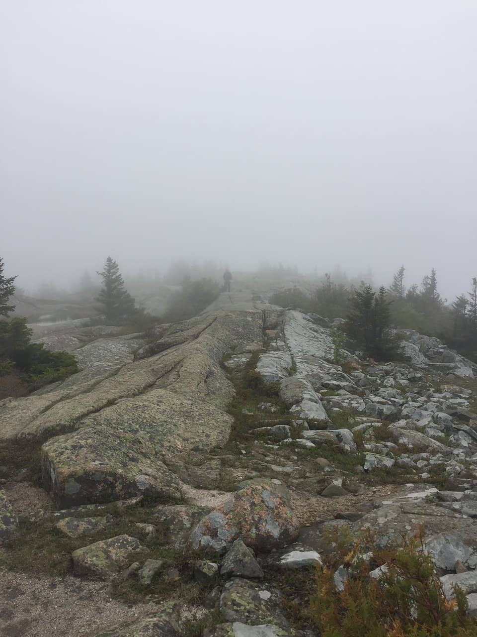 Dawn to Dusk Spectacle