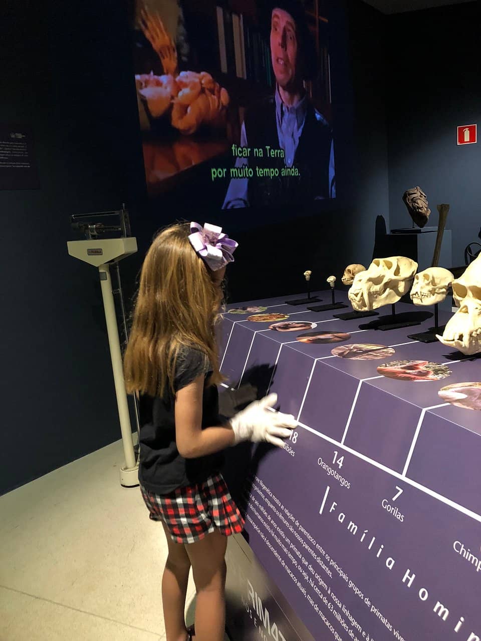 Life Sciences Exploration