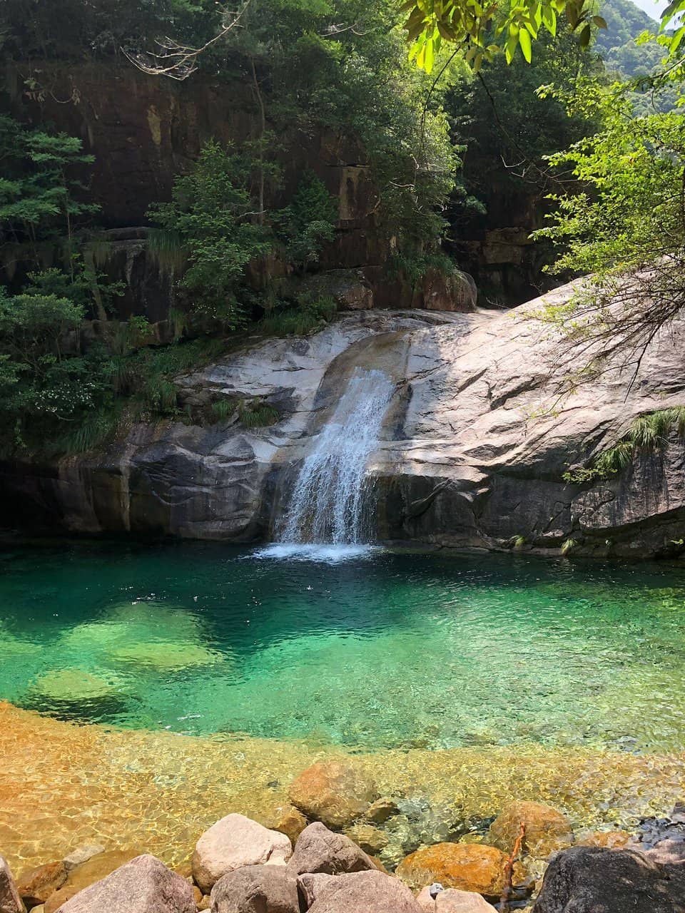 Shy Monkey Encounters