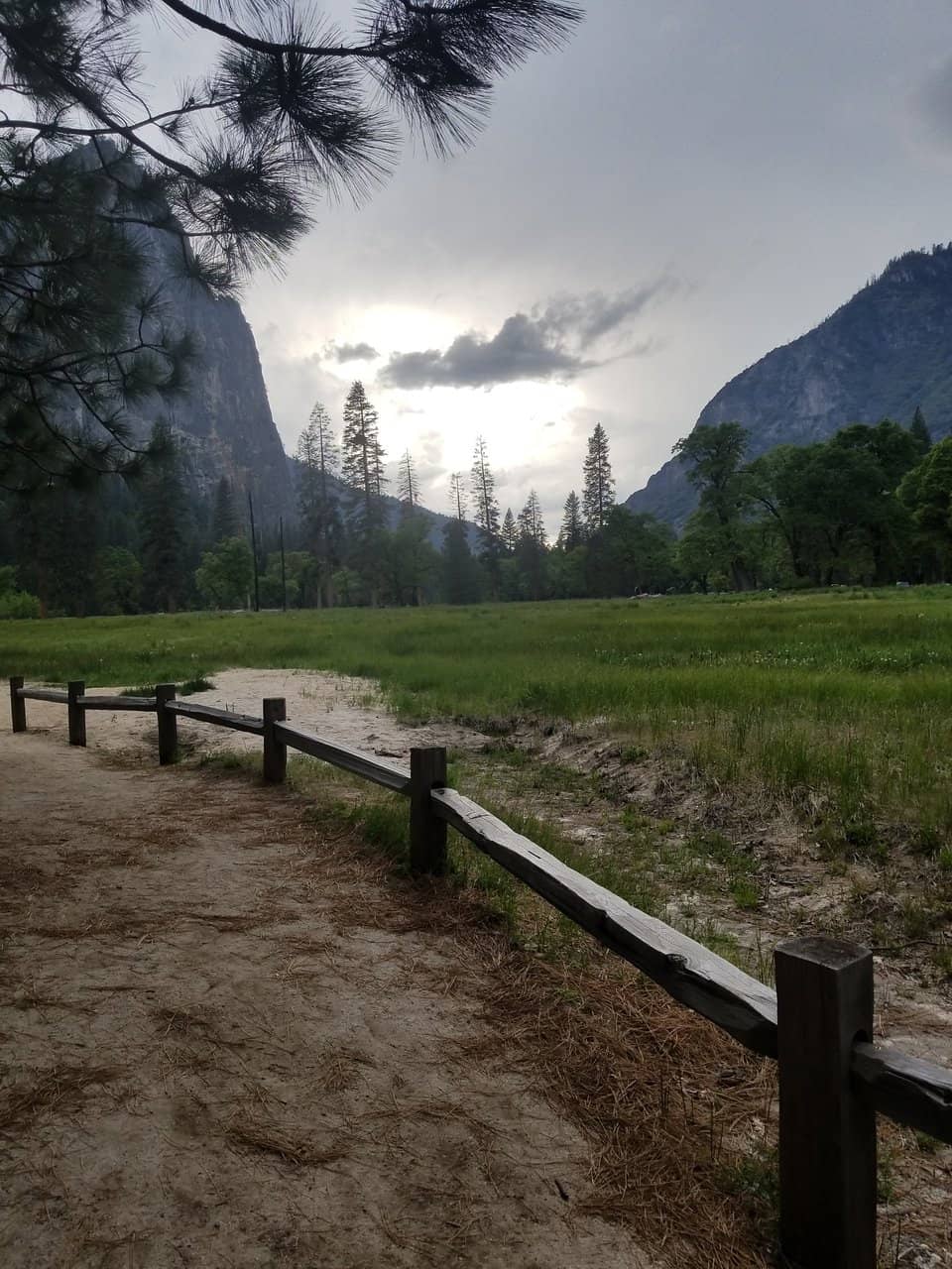 Live Climbing Action