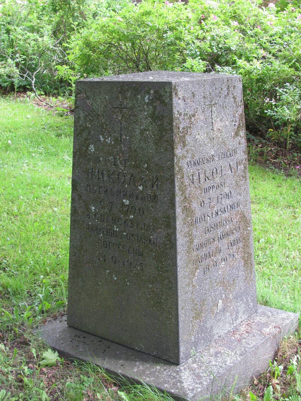 Sculpture Collection