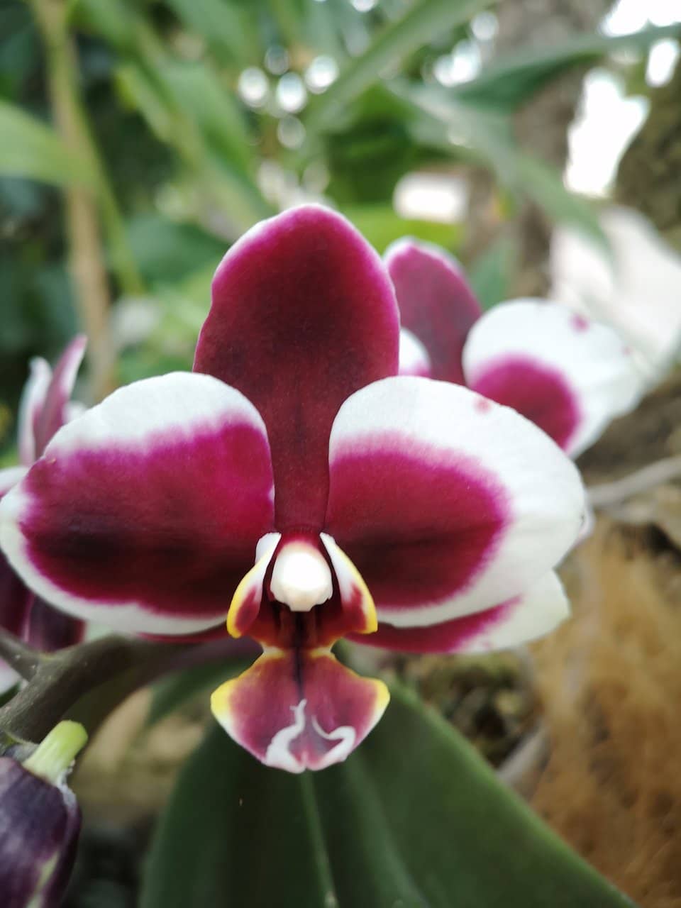 Third hero image