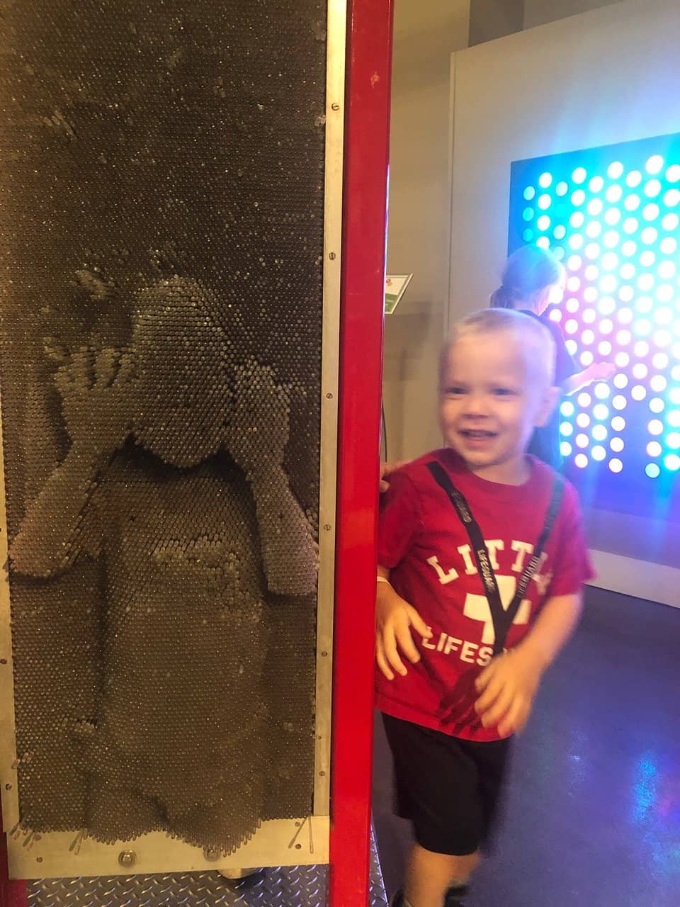 Paleontologist Insights