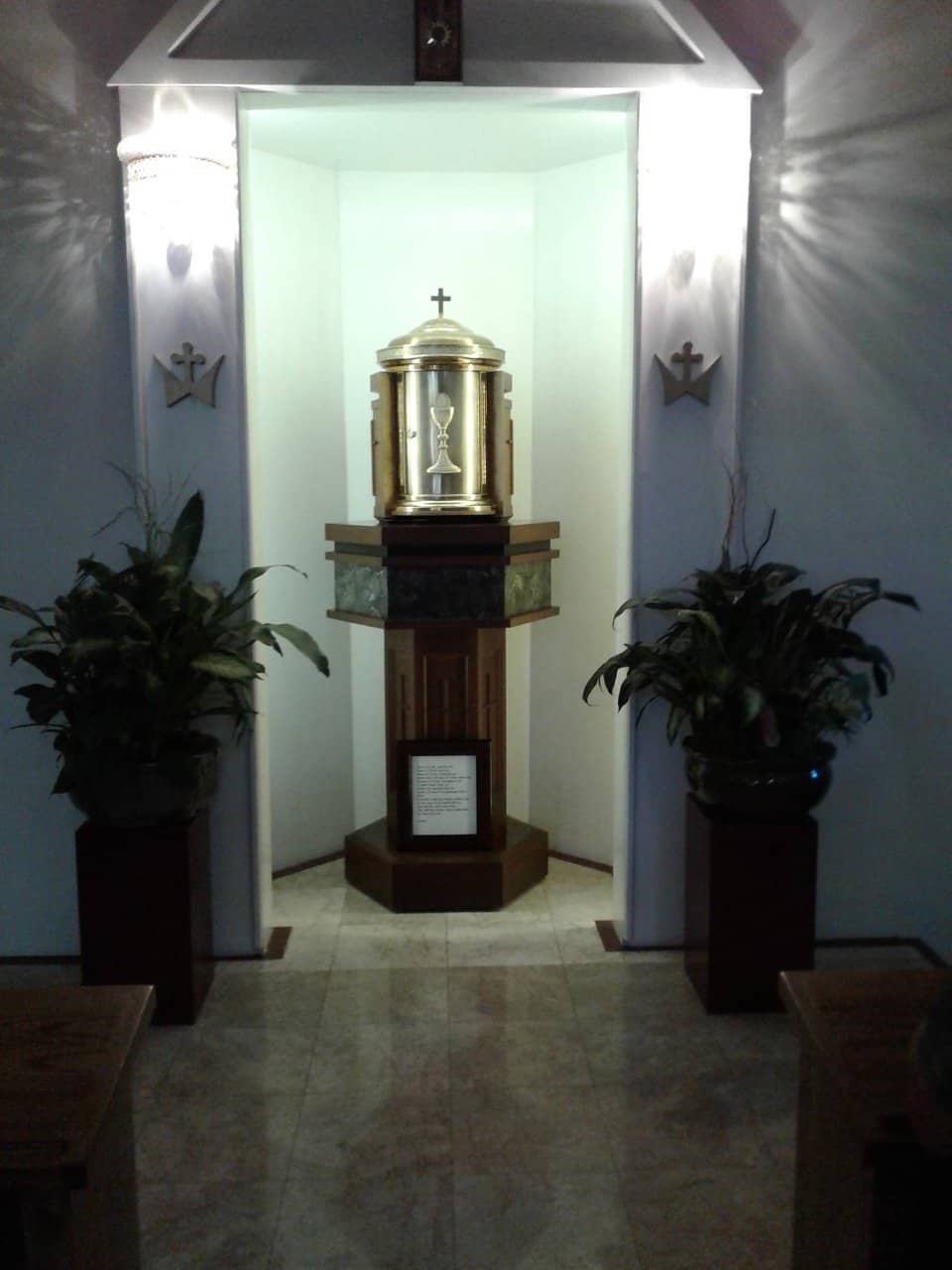 Vertical photo