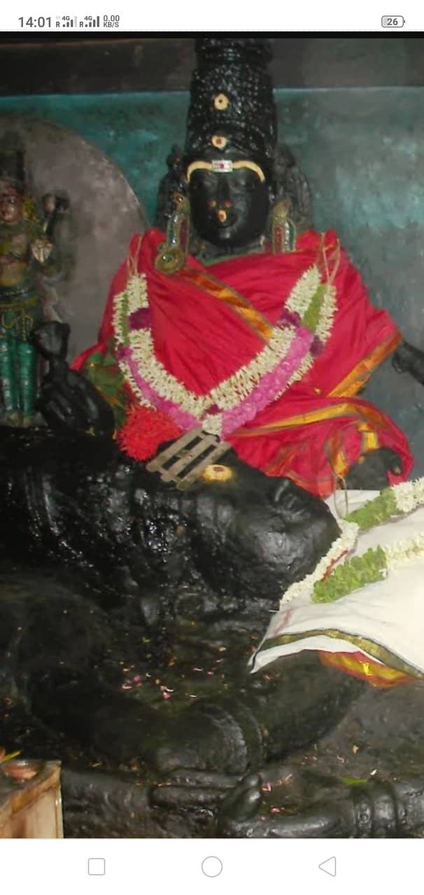 Matsya Avatar Deity