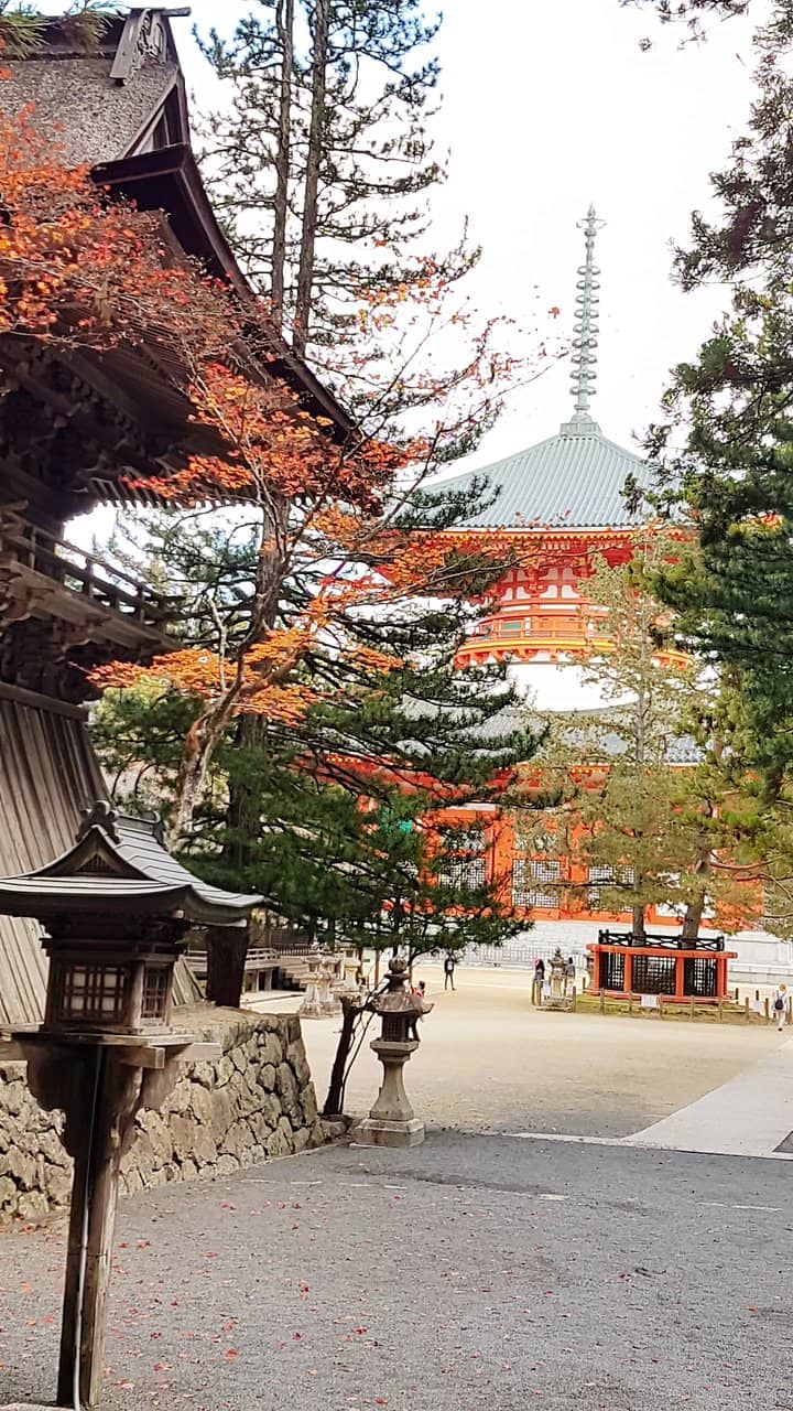Sacred Buddha Statues