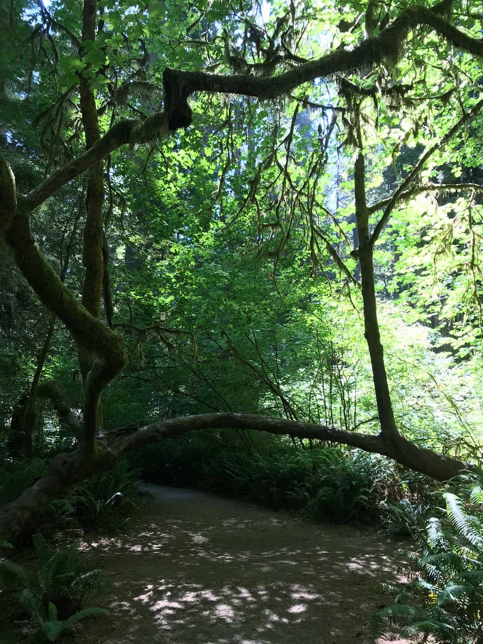 Smith River Proximity