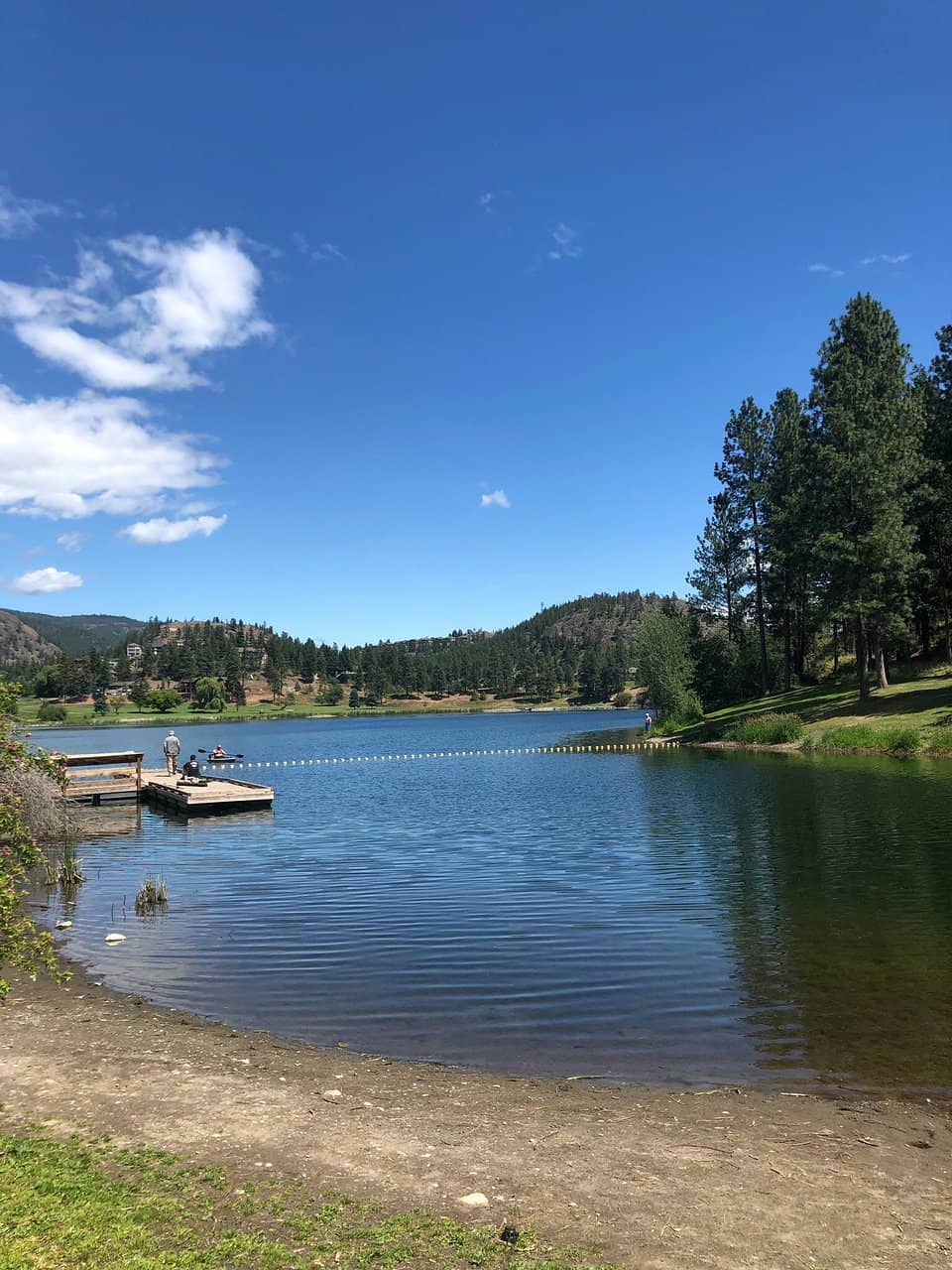 Painted Turtle Trail