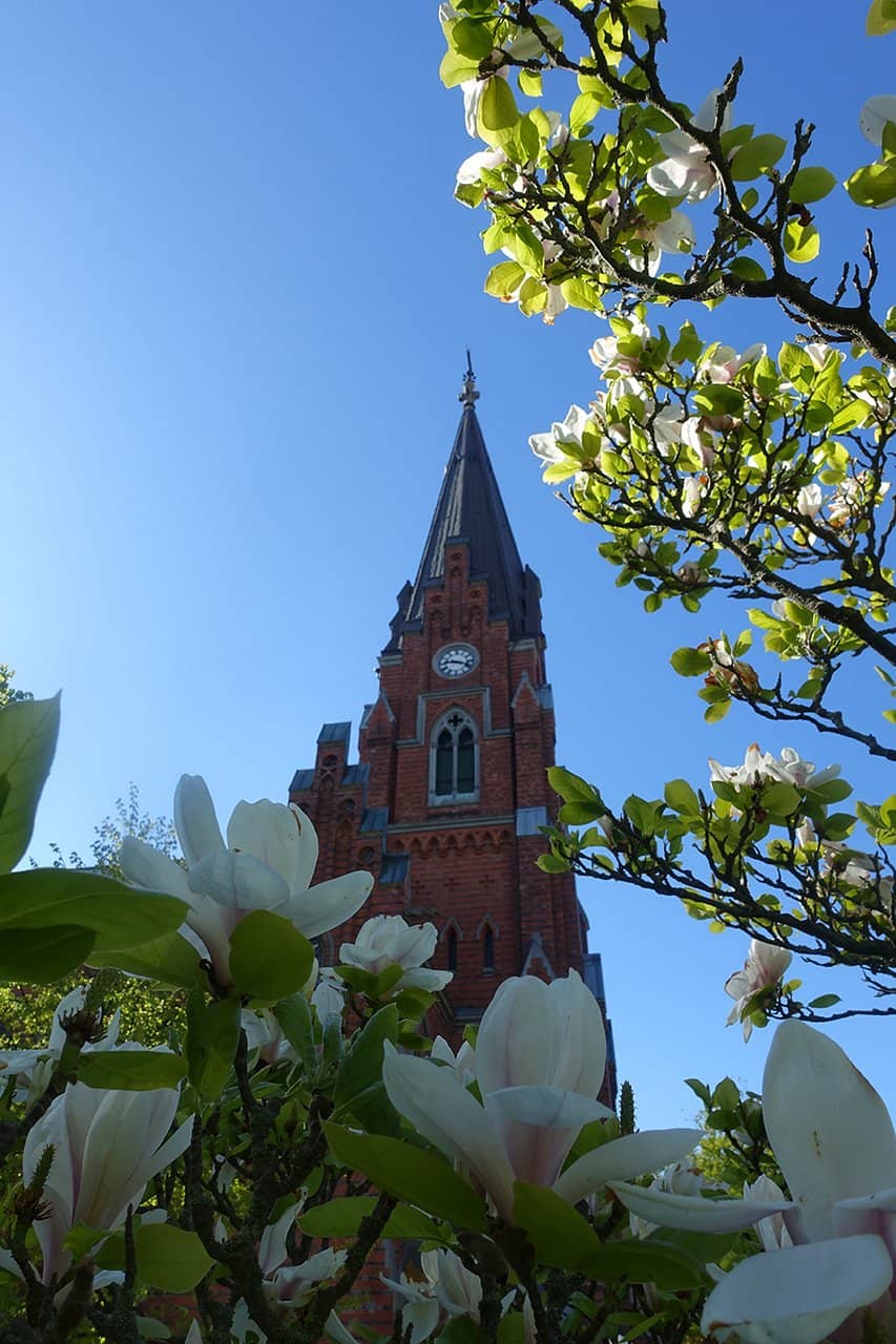 Vertical photo