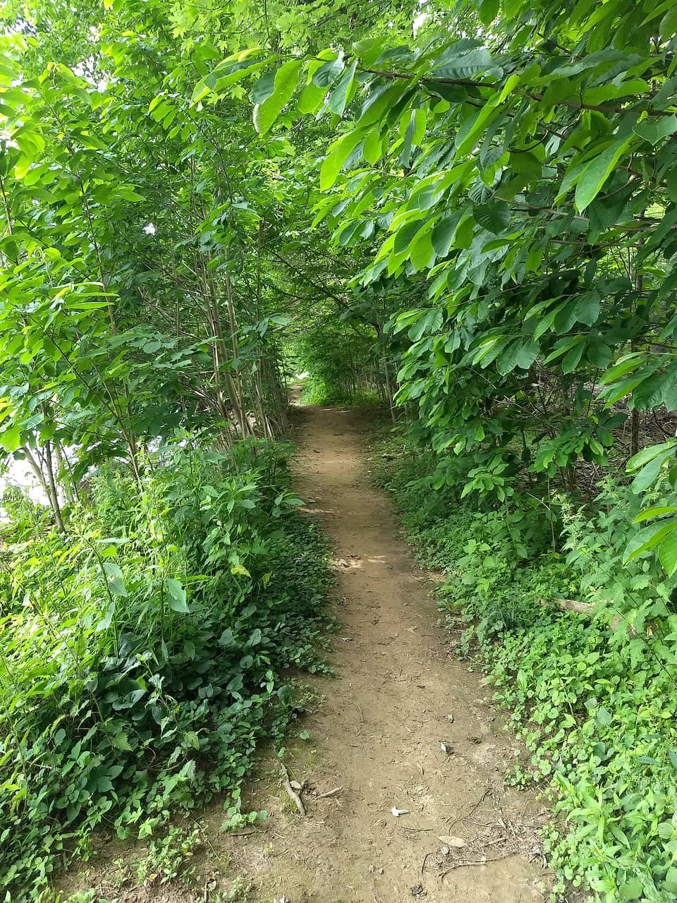 Vertical photo