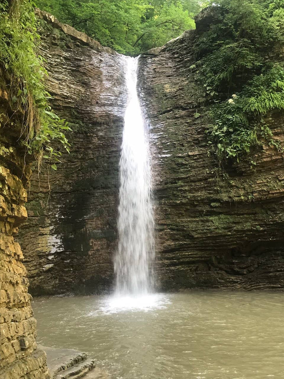 Vertical photo