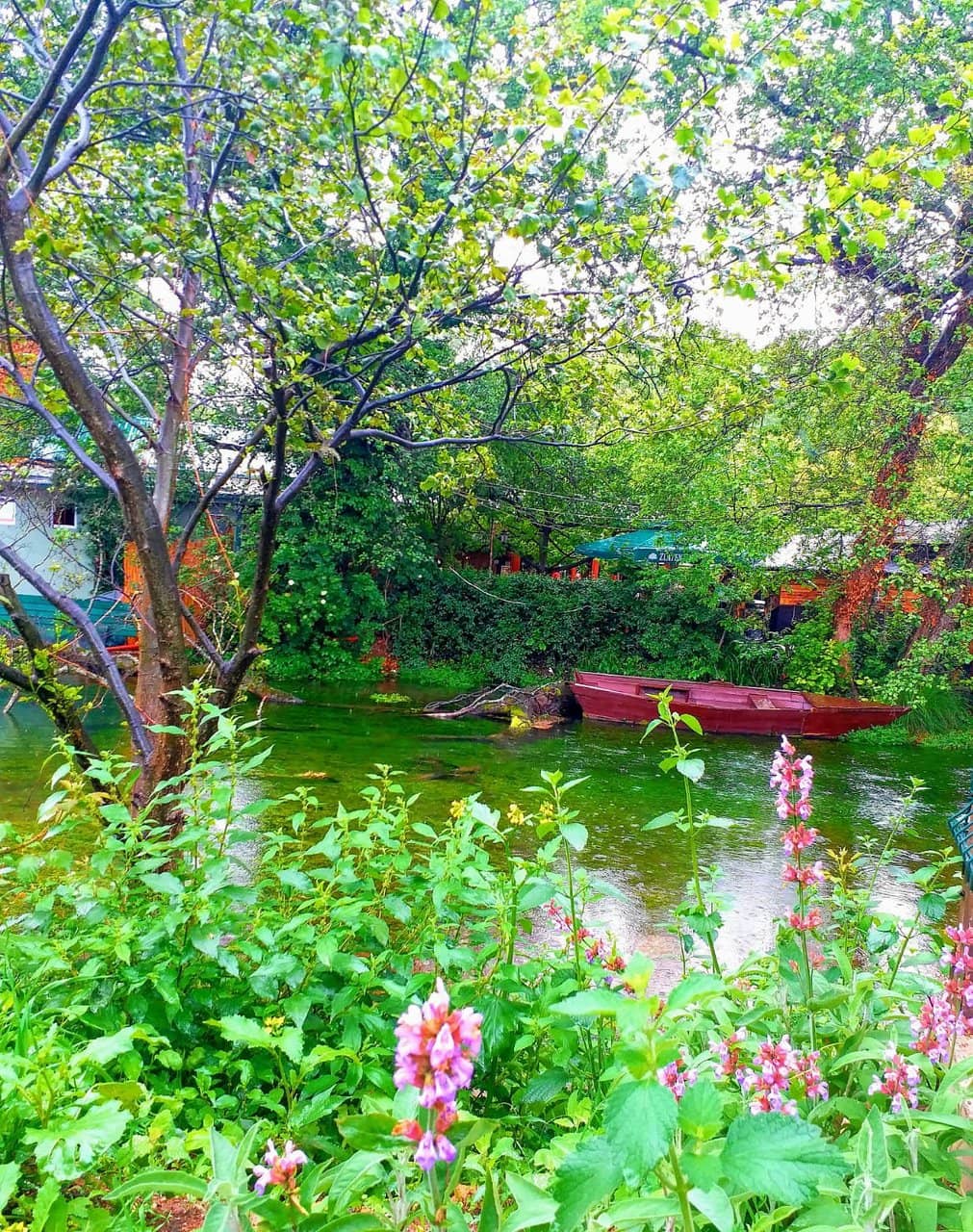 Panoramic Lake Views