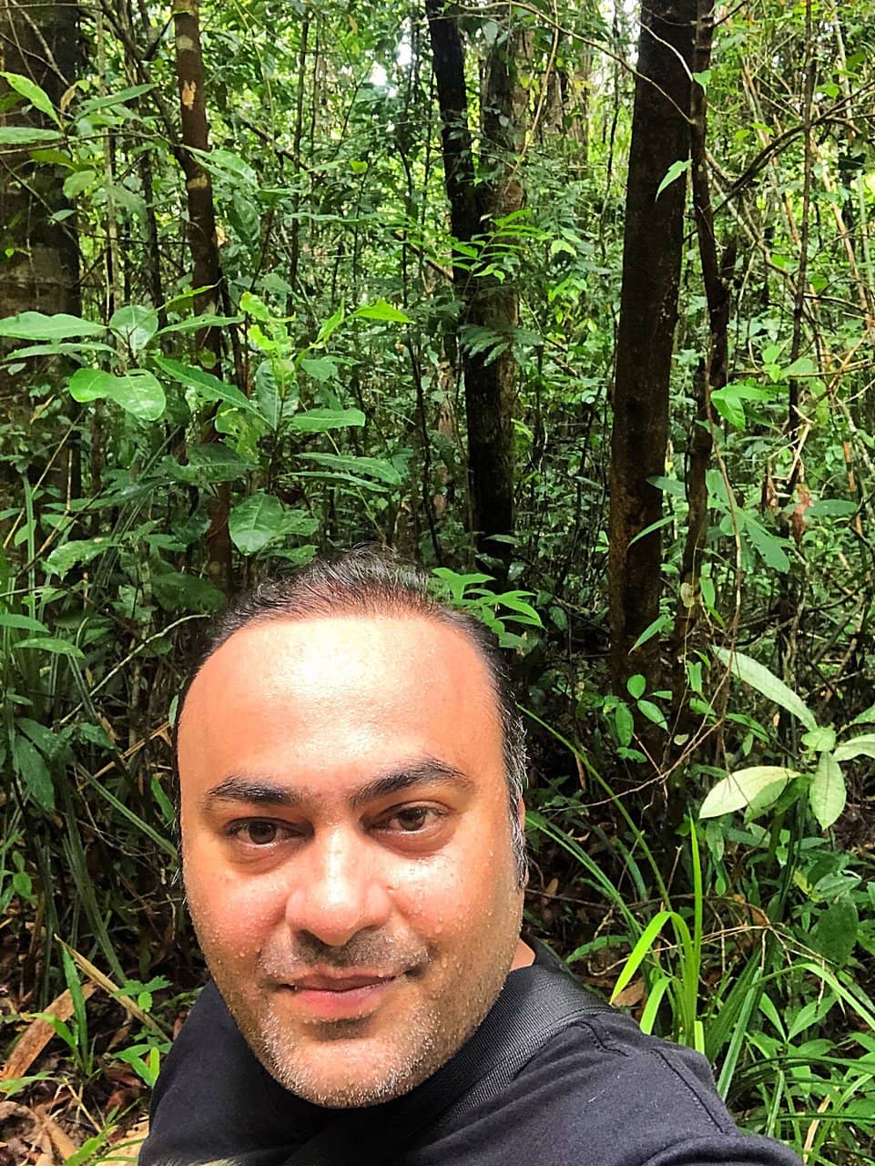 Jungle Walking Trail