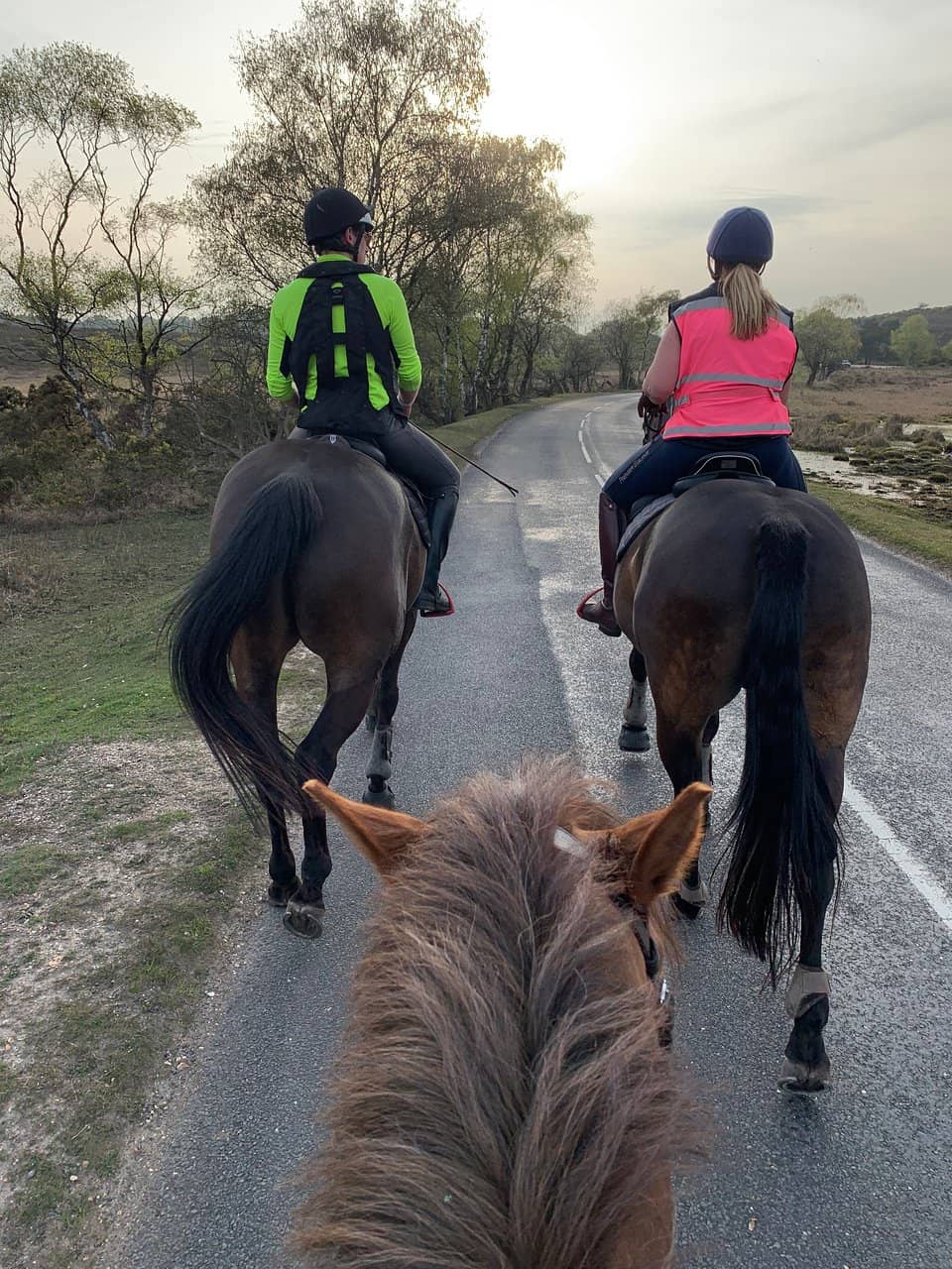 Guided Trail Rides