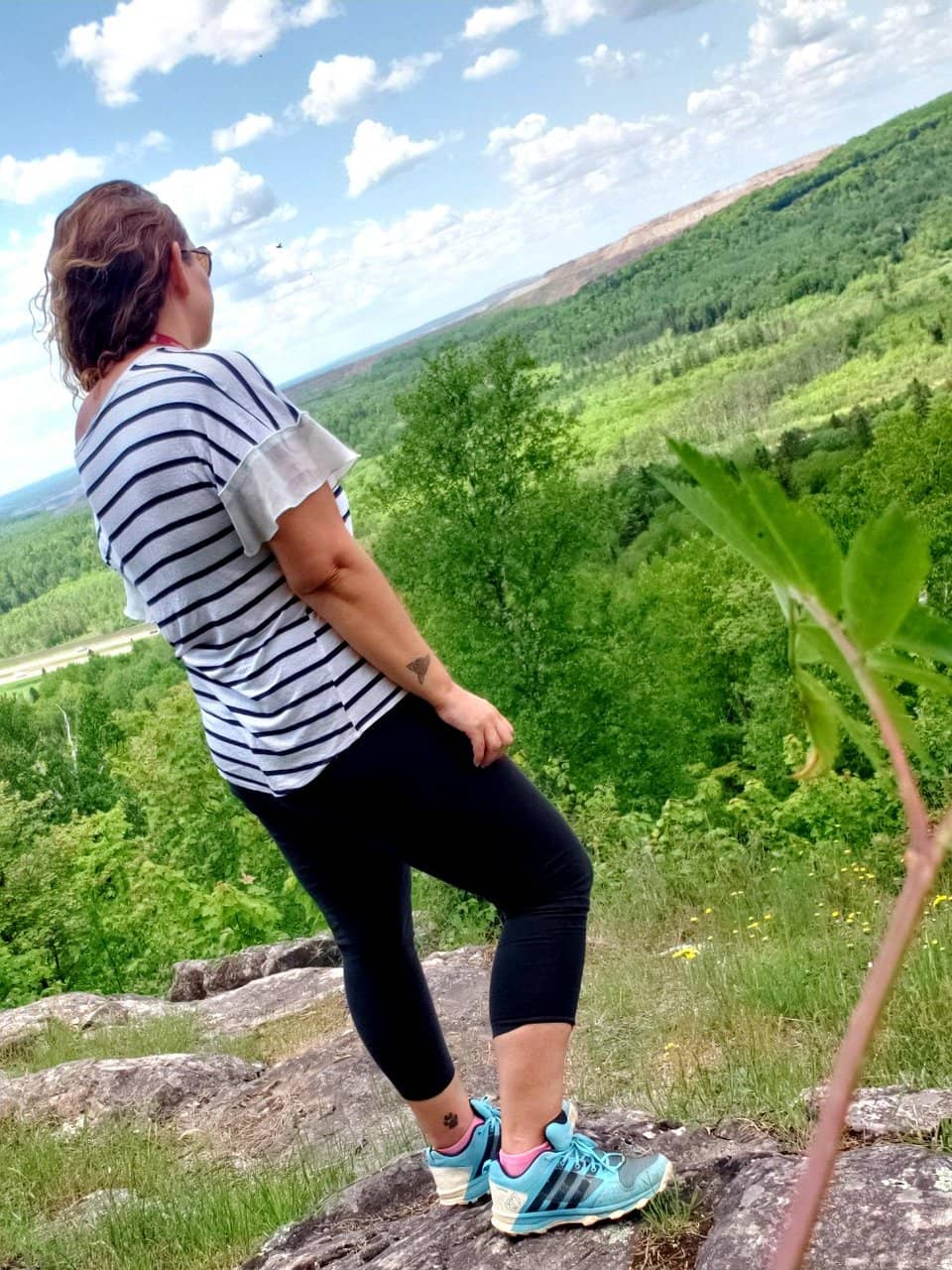 Wildlife Viewing