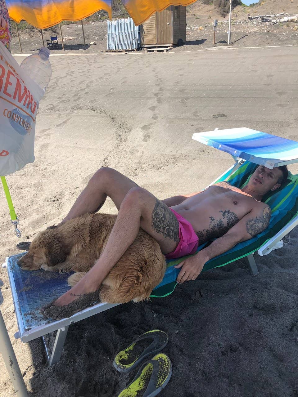 Canine Companion Haven
