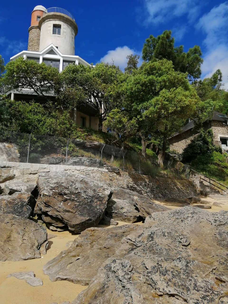 Vertical photo
