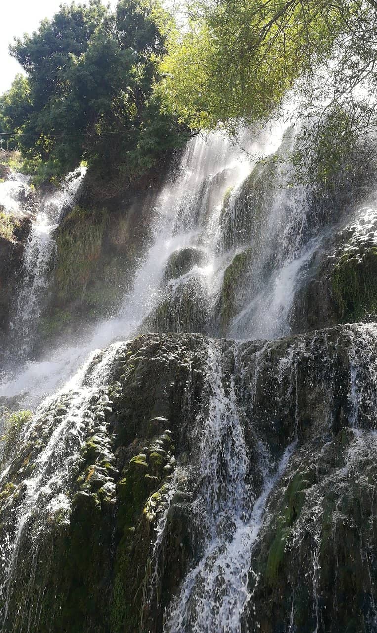 Jabal with Rose Factories