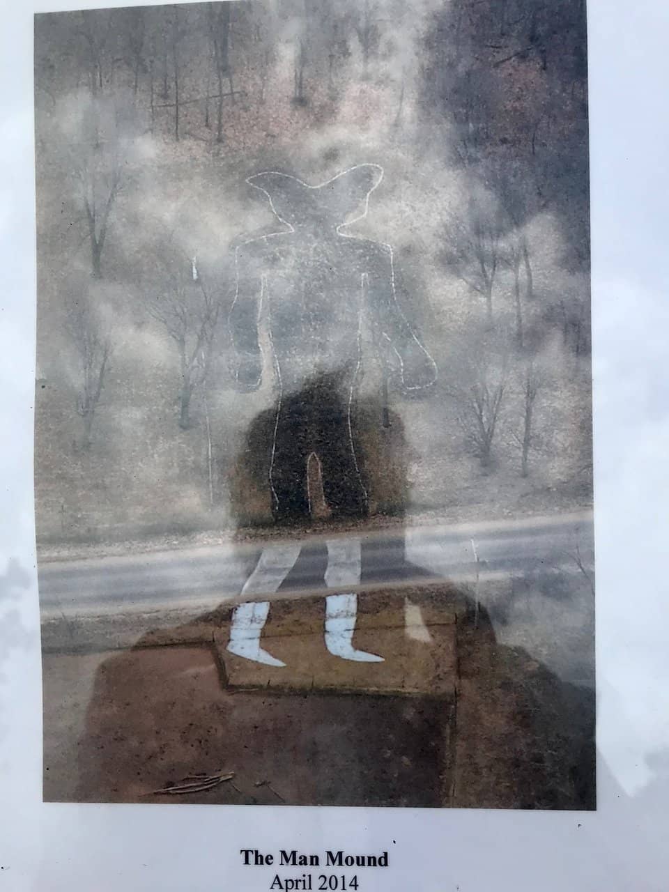 Peaceful Woodland Setting