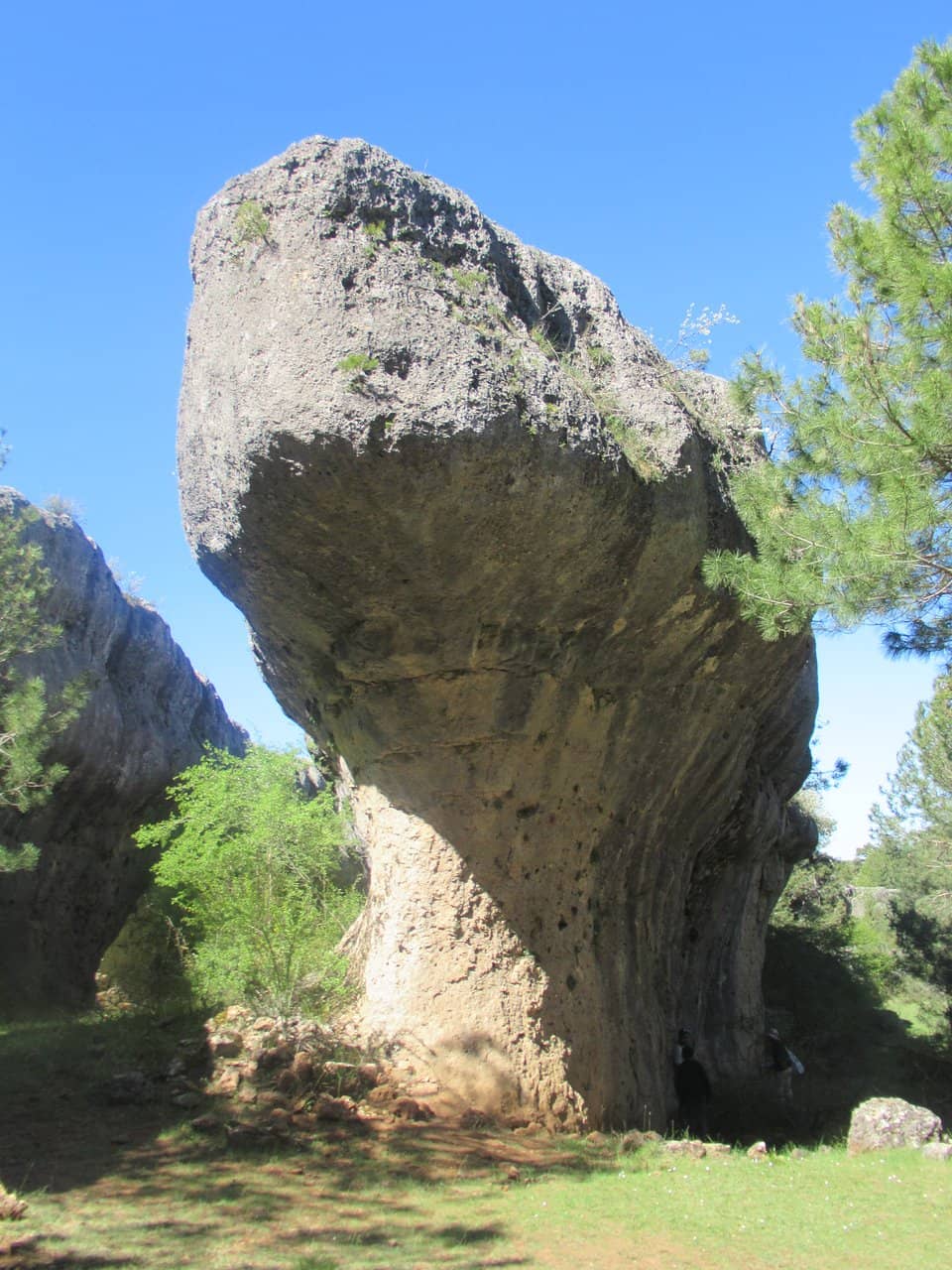 The Mushroom