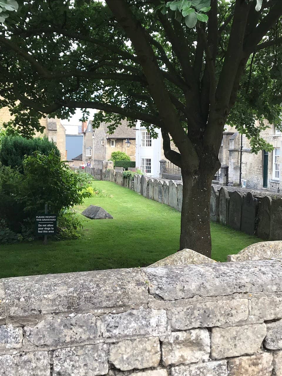 Stained Glass Windows
